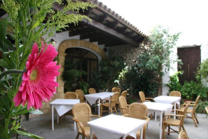 Hostal Torre De Guzman 콘일데라프론테라 외부 사진